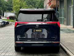 Buick GL8 Deluxe Edition - ფოტო 4