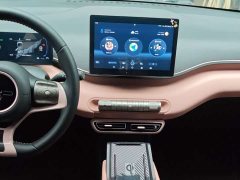 BYD Seagull Edition - ფოტო 10