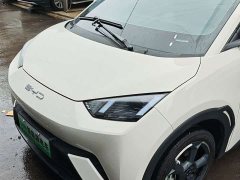 BYD Seagull Edition - ფოტო 5
