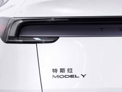 Tesla Model Y Edition - ფოტო 11