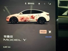 Tesla Model Y Edition - ფოტო 16