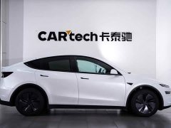 Tesla Model Y Edition - ფოტო 3