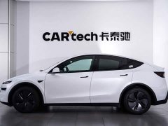 Tesla Model Y Edition - ფოტო 8