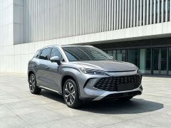 BYD L DM-i 160km Version - ფოტო 3