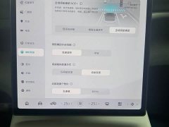 Nio ES6 75kWh - ფოტო 14
