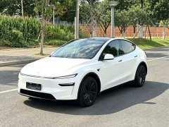 Tesla Model Y Edition - ფოტო 1