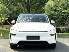 Tesla Model Y Edition - ფოტო 2