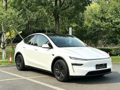 Tesla Model Y Edition - ფოტო 3