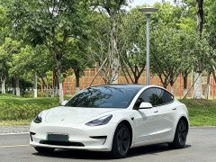 Tesla Model 3 Standard Range Edition - ფოტო 1