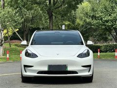 Tesla Model 3 Standard Range Edition - ფოტო 2