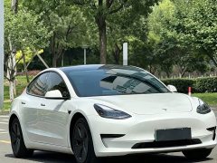 Tesla Model 3 Standard Range Edition - ფოტო 3