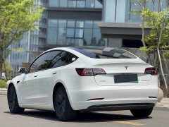 Tesla Model 3 Standard Range Edition - ფოტო 8