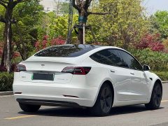 Tesla Model 3 Standard Range Edition - ფოტო 9