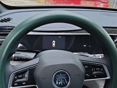 BYD Qin DM-i 55KM Premium Version - ფოტო 12