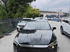 BYD Qin DM-i 55KM Premium Version - ფოტო 2