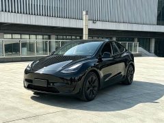 Tesla Model Y Edition - ფოტო 1