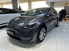 Tesla Model Y Edition - ფოტო 1
