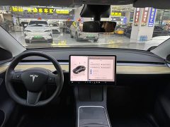 Tesla Model Y Edition - ფოტო 11