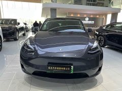 Tesla Model Y Edition - ფოტო 2