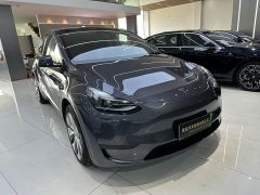 Tesla Model Y Edition - ფოტო 3