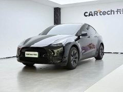 Tesla Model Y Edition - ფოტო 1