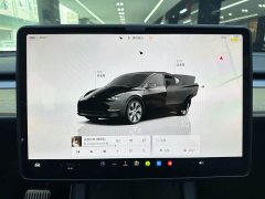 Tesla Model Y Edition - ფოტო 16