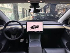 Tesla Model Y Edition - ფოტო 8