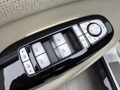 Denza D9 DM-i 1050 Deluxe Version - ფოტო 20