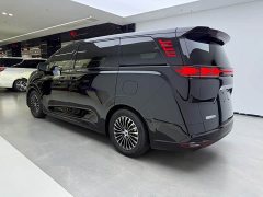Denza D9 DM-i 1050 Deluxe Version - ფოტო 4