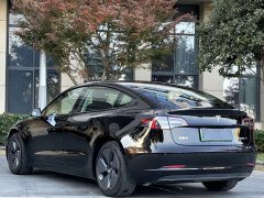 Tesla Model 3 Edition - ფოტო 10