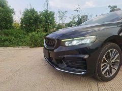 Geely Xingrui 2.0TD Luxury Version - фото 9