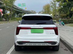 FAW E-HS9 460km Edition - ფოტო 12