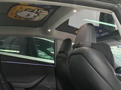 Tesla Model 3 Edition - ფოტო 9