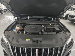 FAW HS5 2.0T Pro Edition - ფოტო 20