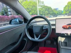 Tesla Model 3 Edition - ფოტო 7