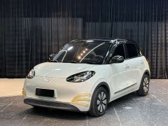 Wuling 333km - ფოტო 1