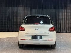 Wuling 333km - ფოტო 10