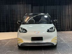 Wuling 333km - ფოტო 2