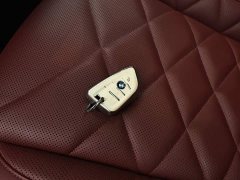 BMW X5 xDrive 30Li Deluxe VersionM - ფოტო 11