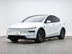 Tesla Model Y Long Range Edition - ფოტო 1