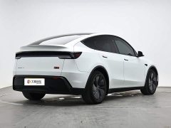 Tesla Model Y Long Range Edition - ფოტო 3