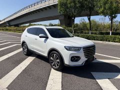 Haval H6 1.5T Edition - ფოტო 3