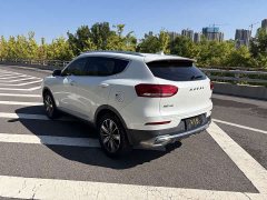 Haval H6 1.5T Edition - ფოტო 8