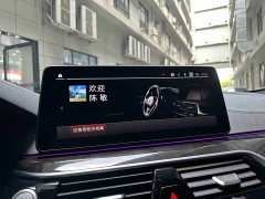 BMW 5 525Li M - ფოტო 16