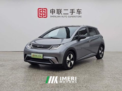 2023 BYD 420km Fashion Edition - ავტომობილი ჩინეთიდან