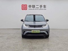 BYD 420km Fashion Edition - ფოტო 5