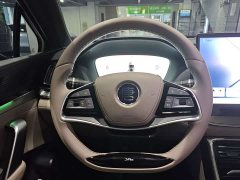 BYD Tang DM-i Edition 112KM Premium Version - ფოტო 10