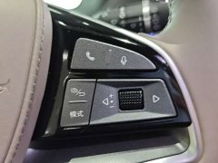 BYD Tang DM-i Edition 112KM Premium Version - ფოტო 14