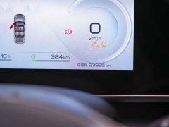 BYD L DM-i 120KM Version - ფოტო 12
