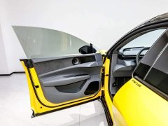Lotus EMEYA L - ფოტო 4